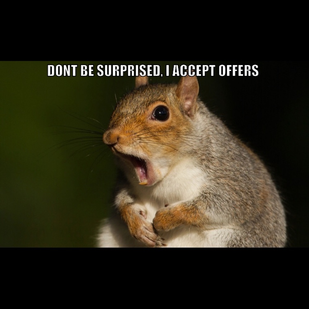 Throw me your best offer